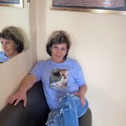  ,   , 53 ,   ,   