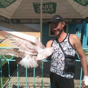  ,   , 41 ,   c 