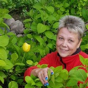 ���������� �����-���������, ���� ������� ������, 65 ���, ������������ ��� ����� � ���������, c�������� ���������