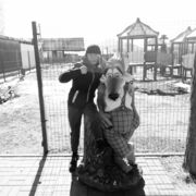 ���������� �����������, ���� ����� �������, 22 ����, ������������ ��� ������, ����� � ���������