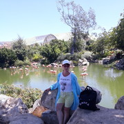  ,   , 62 ,   ,   , c 