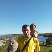 ���������� ���������, ���� ������� ���������, 50 ���, ������������ ��� c�������� ���������