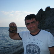 ���������� ��������, ���� ������� ������, 43 ����, ������������ ��� ����� � ���������, c�������� ���������