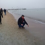  Elblag,   Seri, 47 ,   ,   