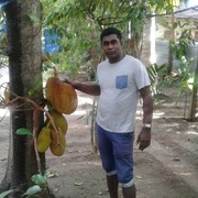  ,   Rossan, 34 ,   
