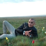  ,   , 43 ,     
