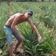   ,   Vladimir, 43 ,   