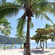 ���������� �����, ���� ������� �����, 58 ���, ������������ ��� ����� � ���������, c�������� ���������