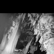 ���������� ������, ���� ������� ����, 38 ���, ������������ ��� ������, ����� � ���������