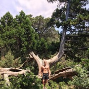 ���������� ������, ���� ������� �������, 38 ���, ������������ ��� ������, ����� � ���������, c�������� ���������