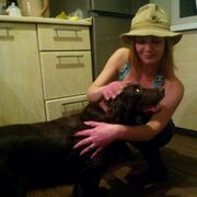 ���������� �����������, ���� ������� �����, 53 ����, ������������ ��� c�������� ���������