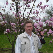  ,   , 65 ,   ,   , c 