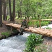 ���������� ������, ���� ������� ���������, 40 ���, ������������ ��� ������, ����� � ���������, c�������� ���������