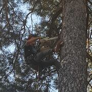 ���������� �����, ���� ������� ������, 36 ���, ������������ ��� ������, ����� � ���������, ���������