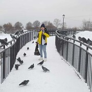 ���������� ���������, ���� ������� �����, 43 ����, ������������ ��� ������, ����� � ���������