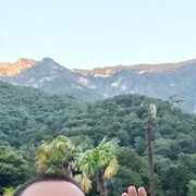 ���������� �����������, ���� ������� �����, 43 ����, ������������ ��� ������, ����� � ���������, ���������