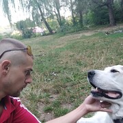 ���������� �������, ���� ������� ������, 36 ���, ������������ ��� ������, ����� � ���������, c�������� ���������