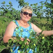 ���������� �������, ���� ������� �������, 71 ���, ������������ ��� ���������