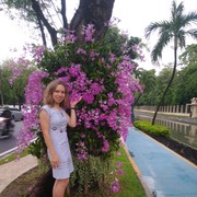 ���������� ������, ���� ������� ���, 41 ���, ������������ ��� ������, ����� � ���������, c�������� ���������