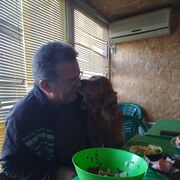 ���������� �������, ���� ������� ���������, 61 ���, ������������ ��� ������, ����� � ���������