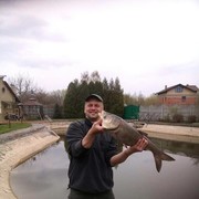 ���������� ����, ���� ������� �������, 49 ���, ������������ ��� ������, ����� � ���������, c�������� ���������