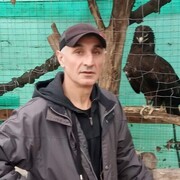  -,   , 55 ,   ,   