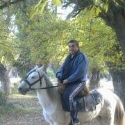 ���������� ������, ���� ������� �����, 48 ���, ������������ ��� ������, ����� � ���������