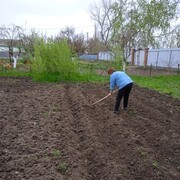 ���������� ���������, ���� ������� ����, 49 ���, ������������ ��� ������, ����� � ���������