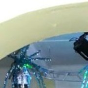 ���������� ������, ���� ������� ����, 39 ���, ������������ ��� ������, ����� � ���������, c�������� ���������