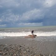 ���������� �����, ���� ������� ����, 43 ����, ������������ ��� ������, ����� � ���������