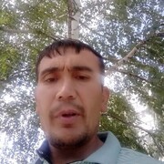  ,  , 41