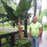  ,   , 53 ,     , c 