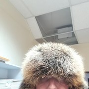 ���������� ���������, ���� ������� ������, 43 ����, ������������ ��� ������, ���������