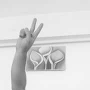  ,  Vedat, 23