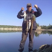 ���������� ��������, ���� ������� ���������, 64 ����, ������������ ��� ������, ����� � ���������, c�������� ���������, ���������