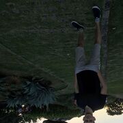 ���������� �����, ���� ������� �������, 32 ����, ������������ 