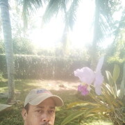  ,   , 40 ,   ,   