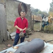 ���������� ���������, ���� ������� �����, 42 ����, ������������ ��� ������, ����� � ���������, c�������� ���������