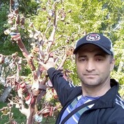 ���������� �������, ���� ������� �������, 52 ����, ������������ ��� ������, ����� � ���������, ���������