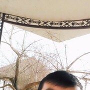 -,   , 31 ,   ,   , c , 