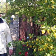  ,   , 54 ,   ,   , c 