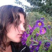  ,    , 37 ,   ,   , c 
