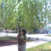  ,   Tamara, 56 ,   ,   