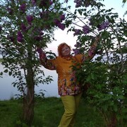 ���������� ������, ���� ������� �����, 53 ����, ������������ ��� ������, ����� � ���������