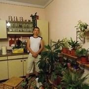  ,  , 46