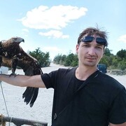 ���������� ��������, ���� ������� ���������, 37 ���, ������������ ��� ������, ����� � ���������, c�������� ���������