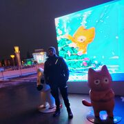  ,   , 30 ,   c 