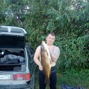 ���������� ���������, ���� ������� ����, 39 ���, ������������ ��� ������, ����� � ���������