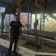 ���������� ���������, ���� ������� ����, 40 ���, ������������ ��� ������, ����� � ���������