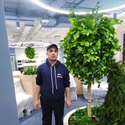 ���������� �����-���������, ���� ������� ��������, 43 ����, ������������ ��� ������, ����� � ���������